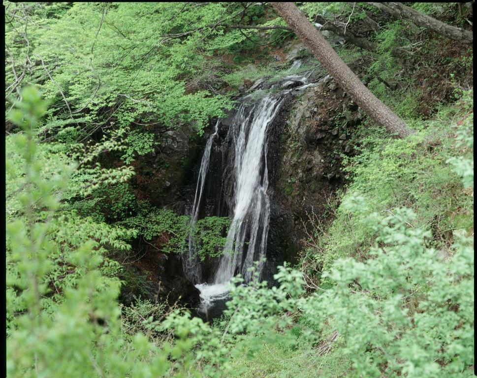 Отель Hatago Chujikan Маэбаси Экстерьер фото